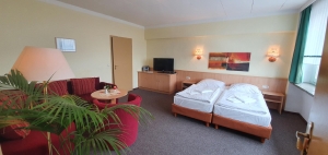 Apartment and Chalet 