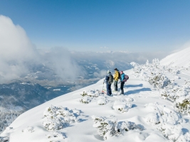Landscape © Oberösterreich Tourismus GmbH/Katrin Kerschbaumer