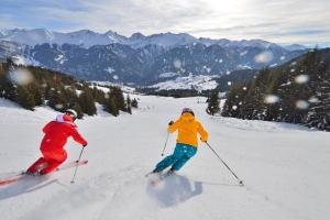 Landscape Skischule Fiss-Ladis, Sepp Mallaun