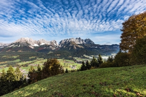 Landscape © Daniel Reiter / Peter von Felbert