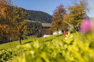 Landscape © Stefan Kothner - Montafon Tourismus GmbH