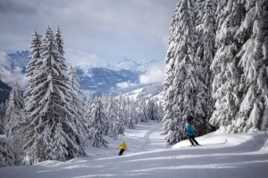 Landscape © Stefan Kothner - Montafon Tourismus GmbH, Schruns