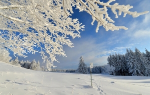 Landscape © Rhön GmbH