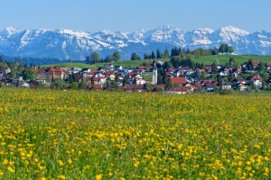 Landscape