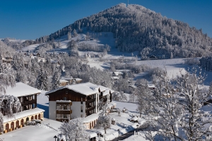Apartment and Chalet 