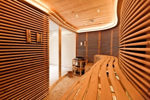 Spa and Wellness 
