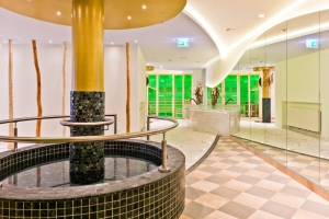 Spa and Wellness 