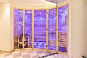 Spa and Wellness 