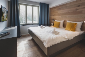 Apartment and Chalet 