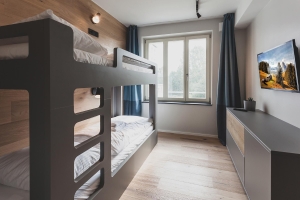 Apartment and Chalet 