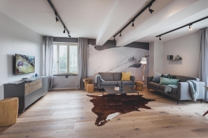 Apartment and Chalet 