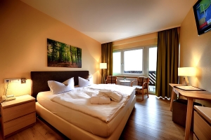 Apartment and Chalet 