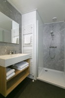 Apartment and Chalet 