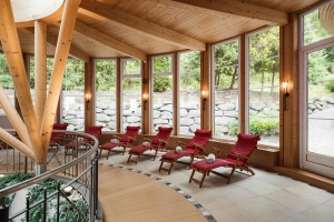Spa and Wellness 